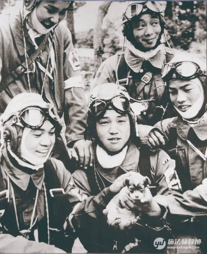 这群年轻人 为何要用这种可怕的方式死去 这群年轻人 为何要用这种可怕的方式死去